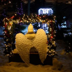 Enkelisiipiin pukeutunut hahmo istuu selin kameraan lumisessa joulukuusipuistossa.