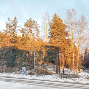 Ristimäki on kallioinen ja puustoinen tontti, jonka vieressä on uudehko kerrostalo.