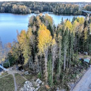 Rakentamaton puustoinen omakotitalotontti järvenrannalla tien vieressä.