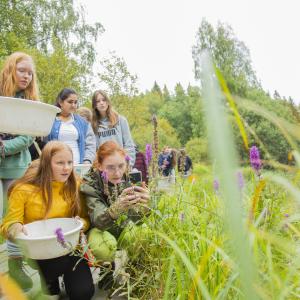 Luontokoulu Korennon oppilaat tutkivat vesielämää joella. 