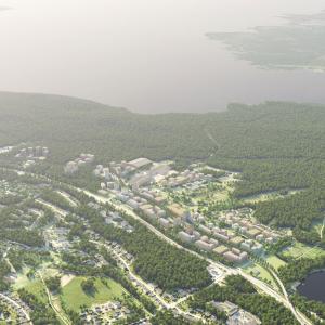 Houses, forest and lake.