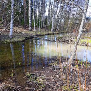 Sameaa vettä uomassa.