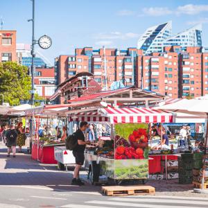 Värikkäitä torikojuja aurinkoisella Laukontorilla ja taustalla näkyy tiiliverhoiltuja kerrostaloja.