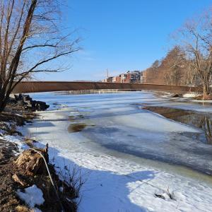 Vesitehtaansillan palkit Viinikanlahdessa kuvattuna keväällä.