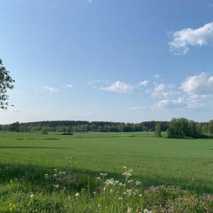 Vihreä avara peltomaisema Nurmin alueelta ja sininen taivas yllä.