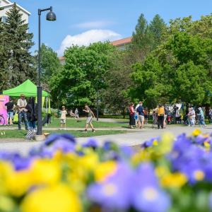People are spending time in the park on a summer day.