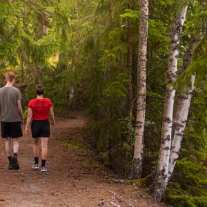 Nuoret kävelevät Kaupissa metsän keskellä luontopolkua. 