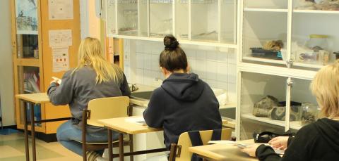 Opiskelua Kaukajärven koulussa