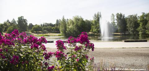 Flowers and fountain in Sorsapuisto Park.