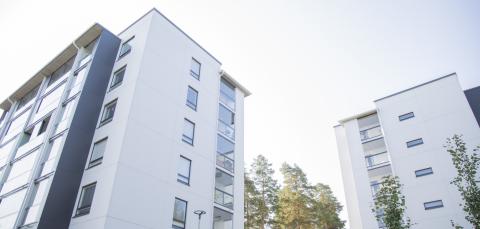 Valkoisia uusia kerrostaloja ja mäntyjen latvoja.