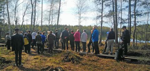 Luontoretkeläisiä pitkospuilla Koukkujärven rannalla.
