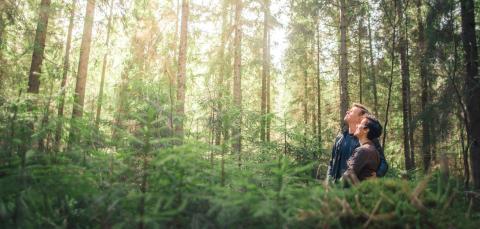 Kaksi ihmistä seisovat metsässä.