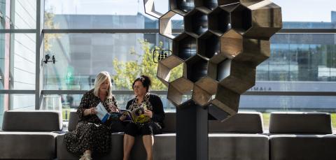 Tampereen aikuislukiossa voit opiskella taideteoksen vieressä.