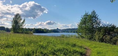 Niityn halki johtava polku Iidesjärven rannalle.