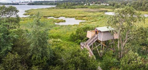 Luonnossa oleva lintutorni, josta aukeaa näkymä lintujärvelle.