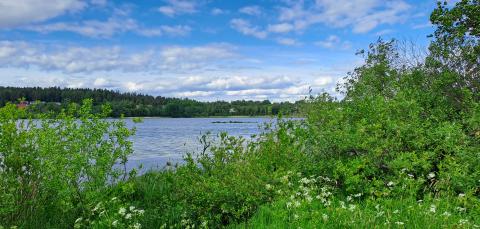 Kuvassa maisema Iidesjärveltä
