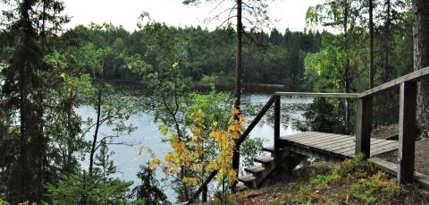 Wooden stairs on a nature trail.