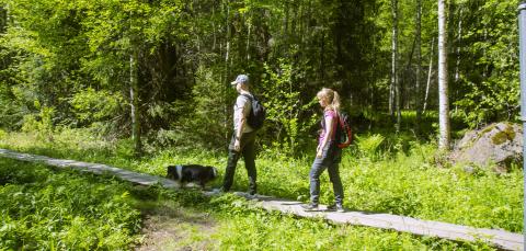 Hikers and a dog at Koukkujärvi nature trail in Vuores