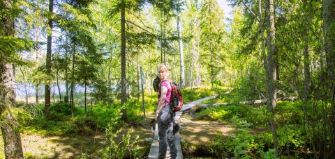 Retkeilijä katsoo taakseen metsässä pitkospuilla.