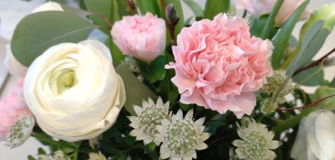 Lähikuva kukkakimpusta, jossa on neilikoita ja jaloleinikkejä.