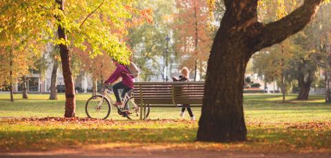 A person is cycling in the park. Another person is sitting on a park bench.