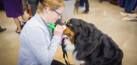 Koiran omistaja hymyilee koirallensa.