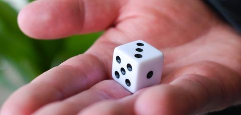 Noppa ihmisen kämmenellä.