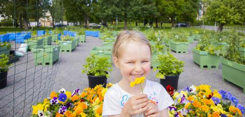 Lapsi on kukkaistutuslaatikoiden edessä kukka kädessään ja hymyilee.