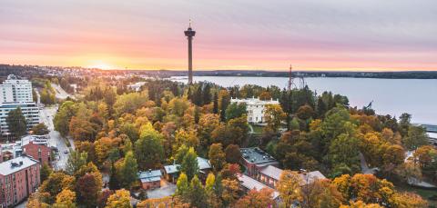 Näsinneula auringonlaskulla puita ja taloja edustalla.