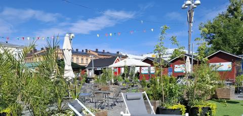 Myyntimökkejä, tuoleja ja viherkasveja Keskustorin kesäalueella.