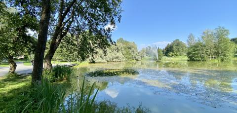 Sorsapuiston lampi ja suihkulähde.