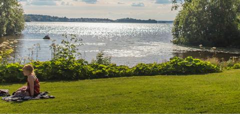 Ihmisiä viettämässä aikaa Hatanpään Arboretumin nurmialueella järven rannassa. Aurinko paistaa.