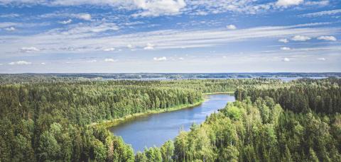 Kauppi-Niihaman metsää ja Niihamanjärvi ilmakuvassa.
