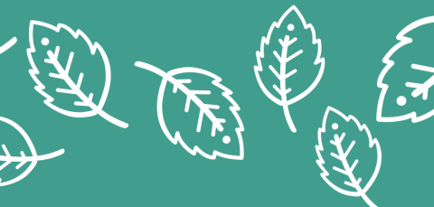 Kuvituskuva, jossa erikokoisia graafisia puunlehtiä.