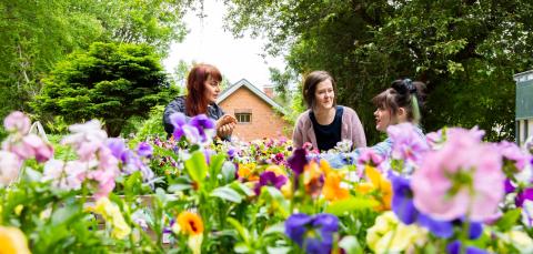 Värikkäitä kukkia puutarhassa, taka-alalla kolme henkilöä.