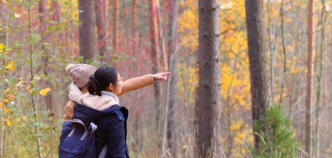 Pyynikin metsä syksyinen maisema, kaksi nuorta katselee metsään.