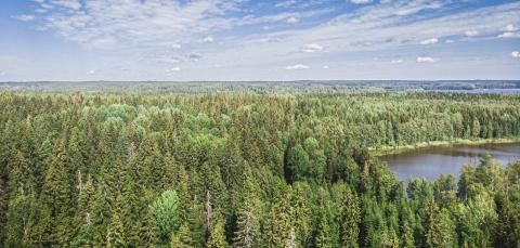 Ilmakuva Soukonvuoren luonnonsuojelualueelta. Iso metsäalue ja järvi.