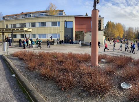 Sampo schoolyard.