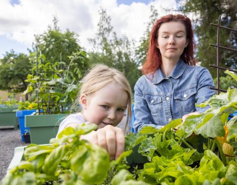 Anna Pyökkilehti ja hänen tyttärensä puutarhalaatikon äärellä