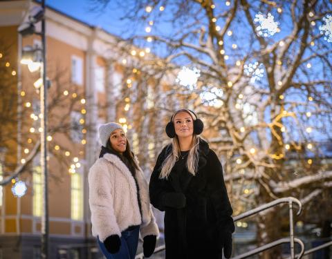 Two people admiring the illuminations in Kirjastonpuisto.