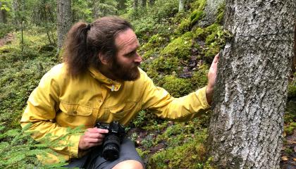 Henkilö tarkastelee puun rungolla kasvavaa jäkälää.