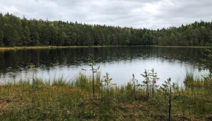 Syksyinen erämaajärvimainen maisema.