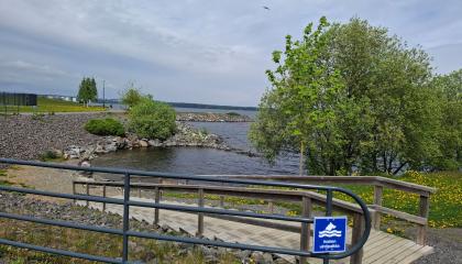 Koirien uintipaikka Santalahden koirapuiston vieressä.