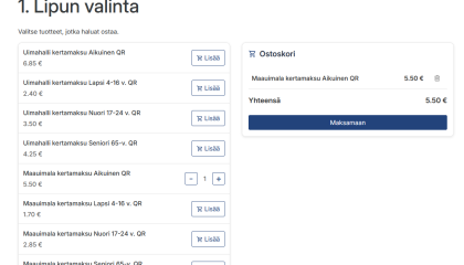 Ruutukaappaus verkkokaupasta, lippu lisätty ostoskoriin.