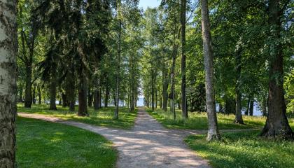 Hatanpään kartanon puistokäytävää.