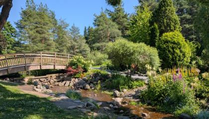 Puro ja kävelysilta Arboretumissa.