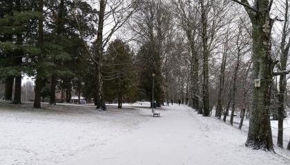 Lumen peittämä puistokäytävä Eteläpuistossa.