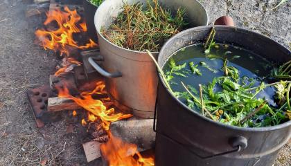 Kaksi pataa lämmityksessä. Padoissa on kiehumassa kasveja.