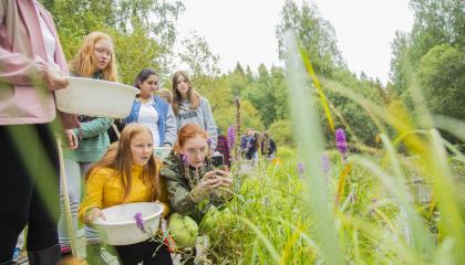 A group of young students outside studying nature.