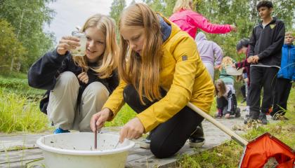 Kaksi tyttöä tutkii vatia ja vesipurkkia suolla